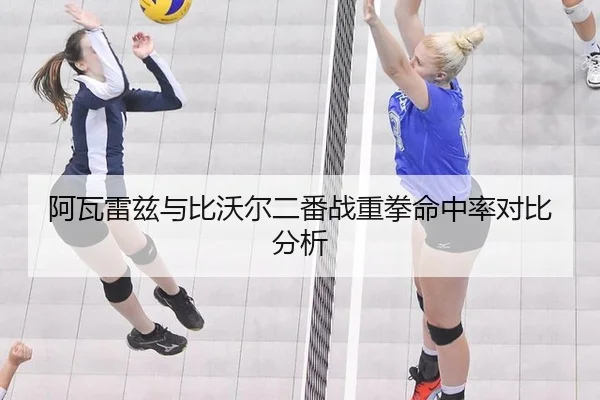 a-wa-lei-zi-yu-bi-wo-er-er-fan-zhan-zhong-quan-ming-zhong-lv-dui-bi-fen-xi-2-751.jpg